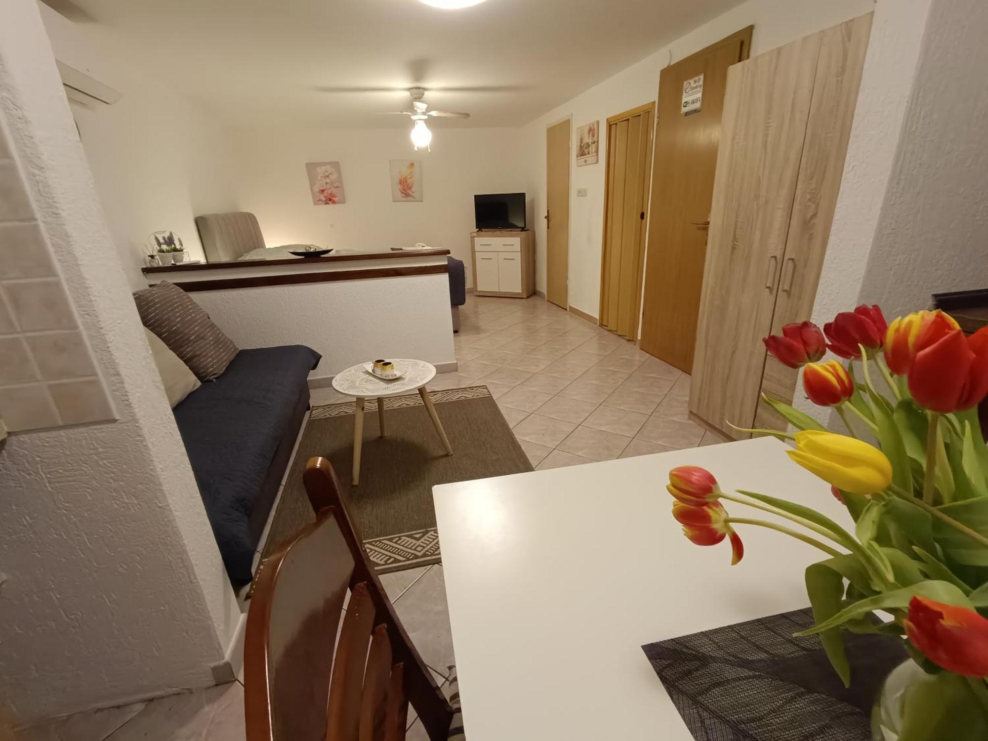 Adria Pearl Appartments Vrsar Exterior photo